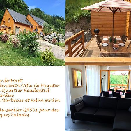 מונסטר Le Chalet La Cigogne Et Le Chamois מראה חיצוני תמונה